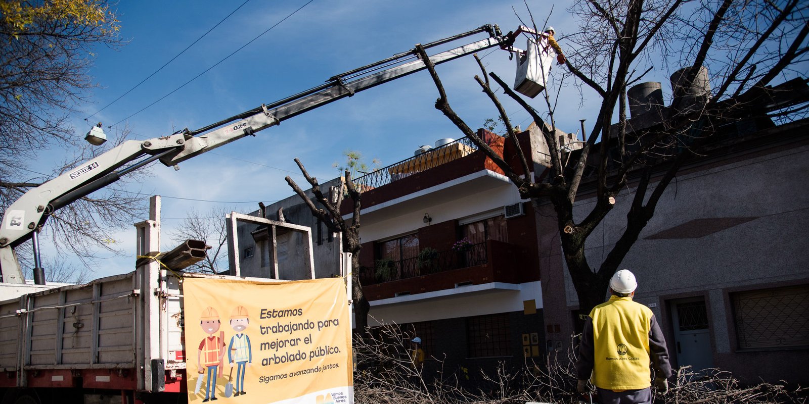 Ordenan al GCBA adopte medidas de protección del arbolado público